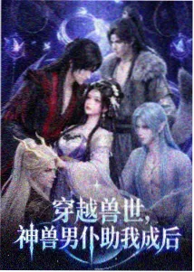 图鉴样例:动画改编对照卡片