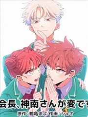 图鉴样例:漫画原作联动卡片